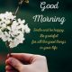 56 Good Morning Quotes and Wishes with Beautiful Images
