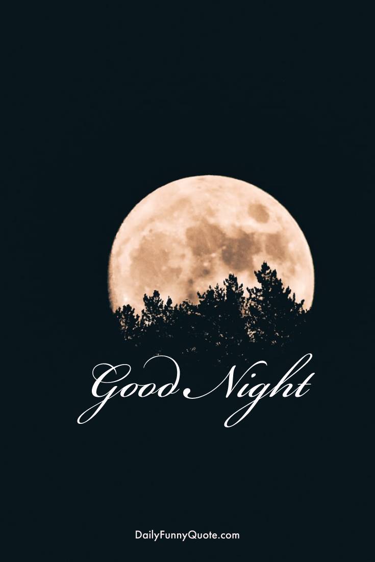 28 Amazing Good Night Quotes and Wishes with Beautiful Images 2