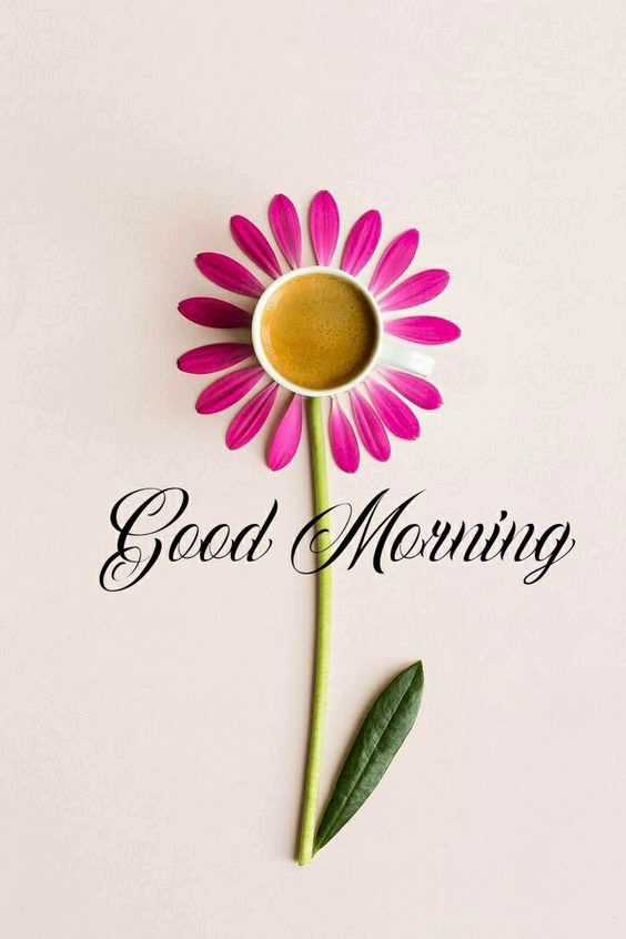 a good morning paragraph for her a good morning paragraph for her