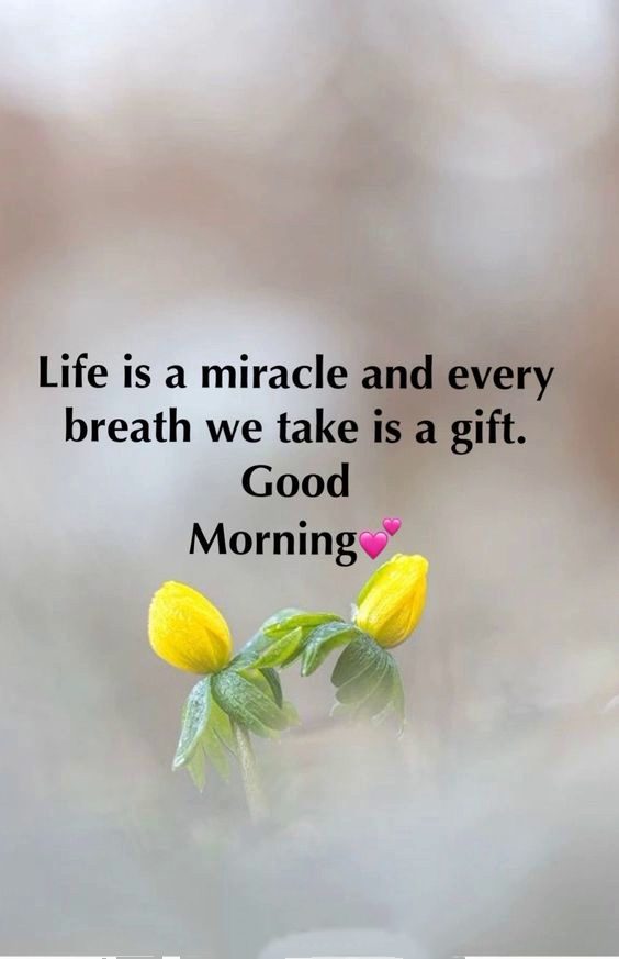 a good morning text for her a good morning text for her