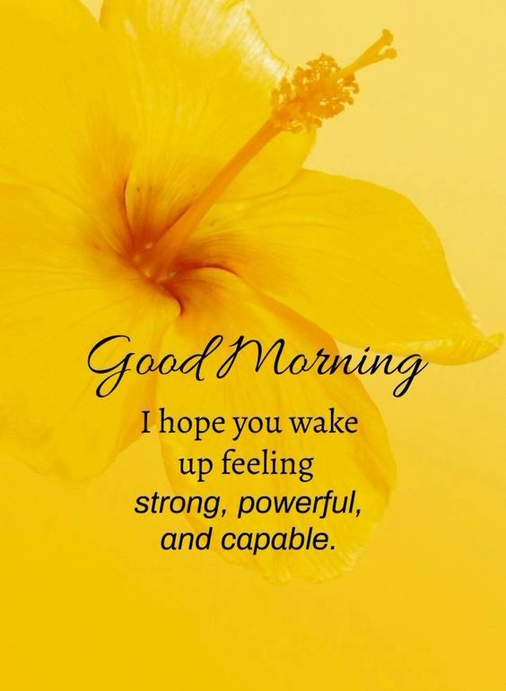 beautiful good morning images beautiful good morning images