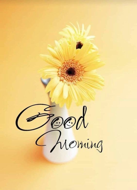 beautiful good morning beautiful good morning