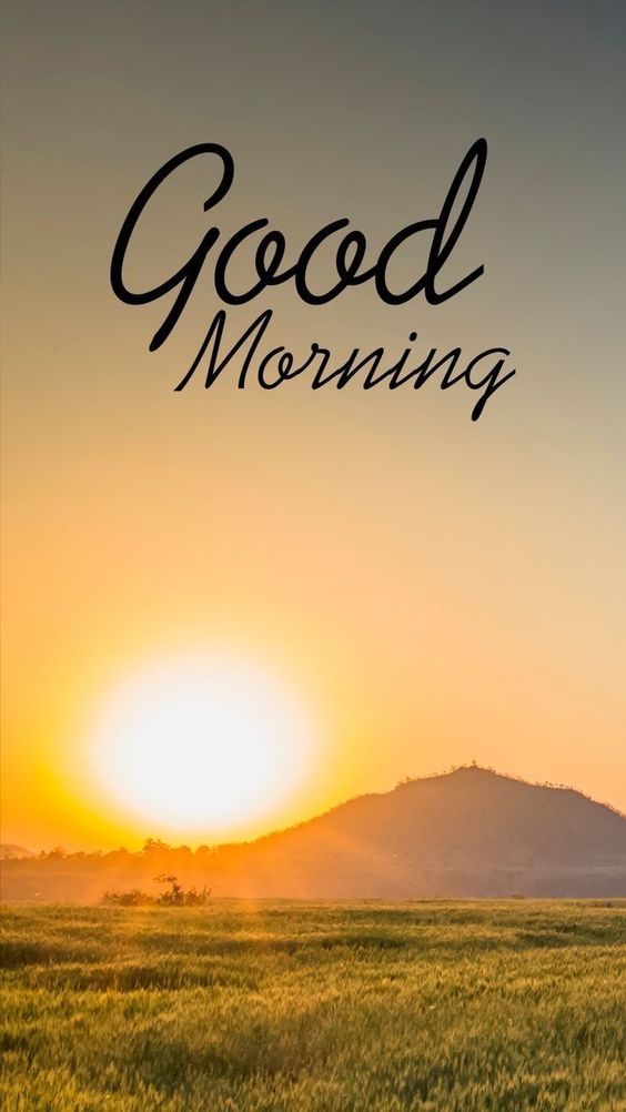 good morning america deals and steals good morning america deals and steals
