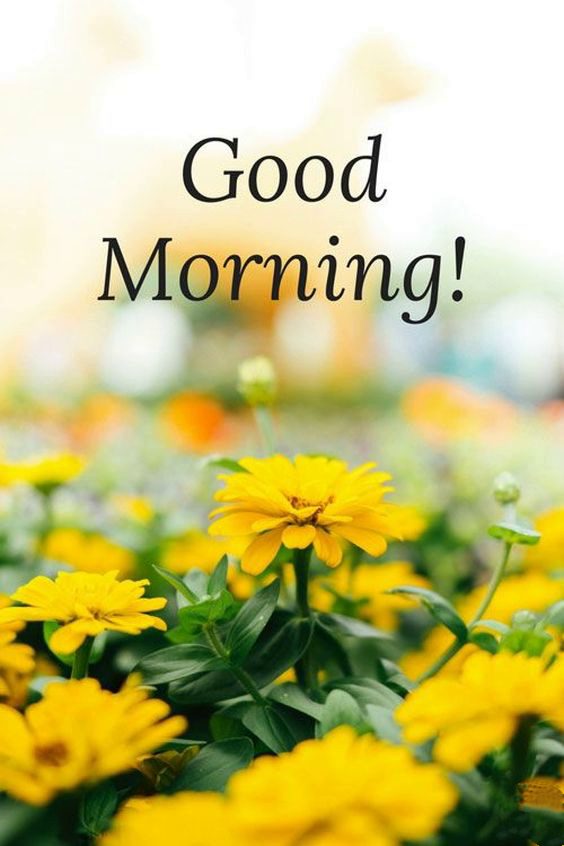 good morning asl good morning asl