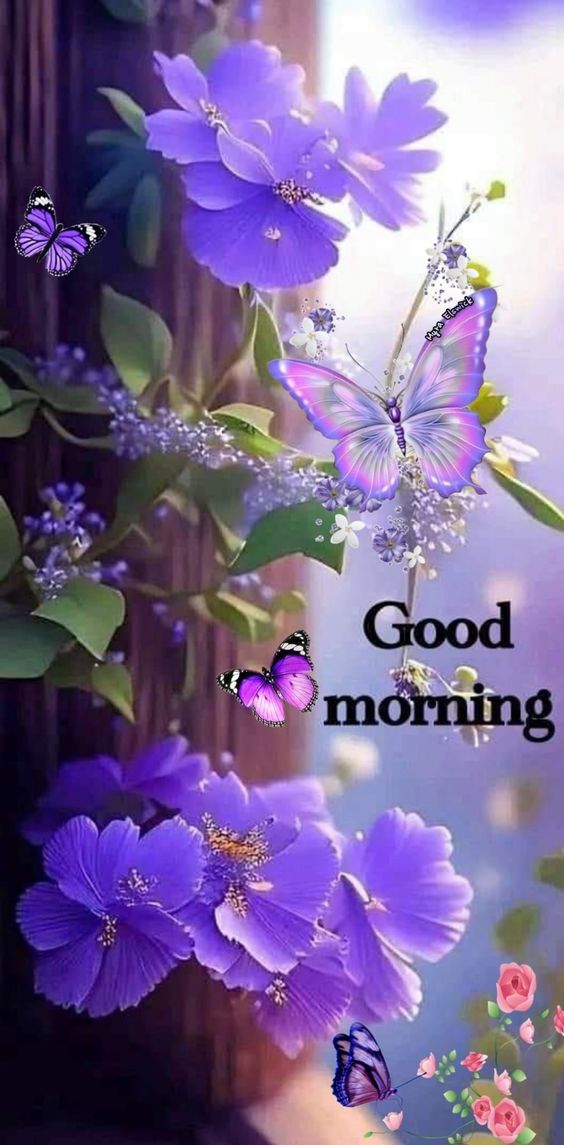 good morning gif good morning gif