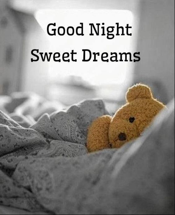 good night and sweet dreams good night and sweet dreams