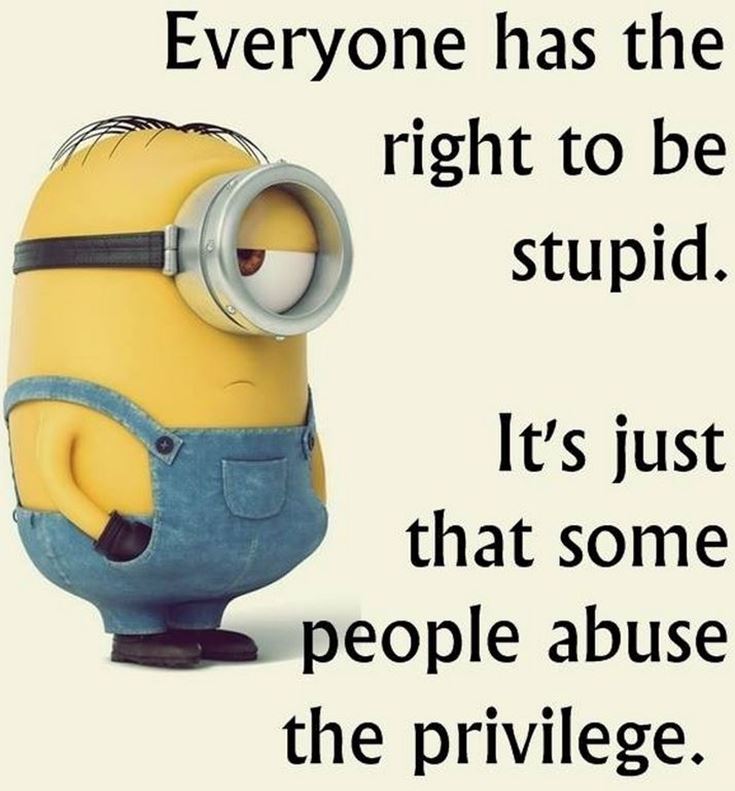 Funny Minions Quotes of the Week 18