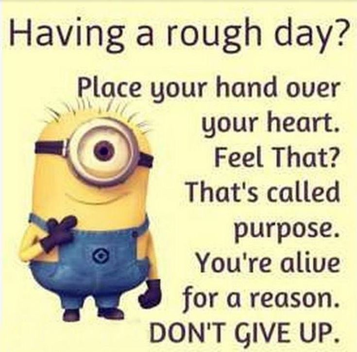 Funny Minions Quotes of the Week 24