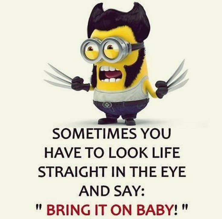Funny Minions Quotes of the Week 31