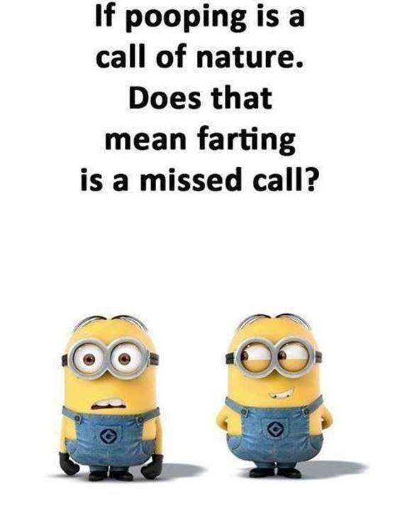 45 Funny Jokes Minions Quotes With minion images and despicable me minion quotes