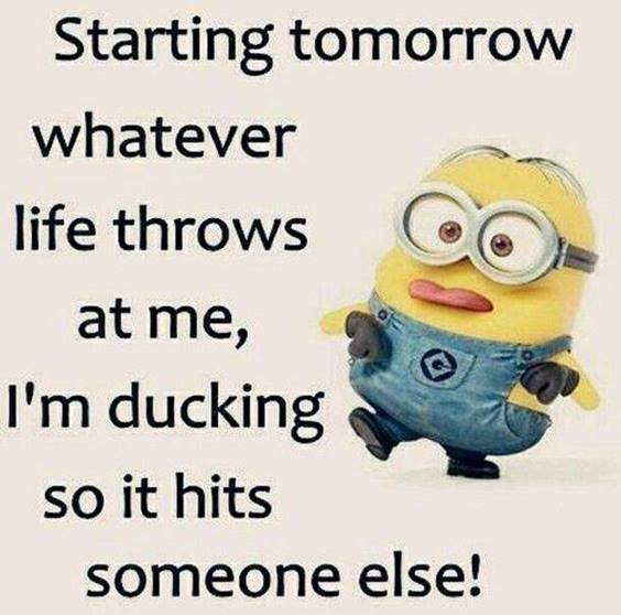 45 Funny Jokes Minions Quotes With Minions 2
