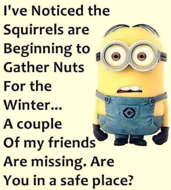 45 Funny Jokes Minions Quotes With minion character quotes happy minion minion jokes on life