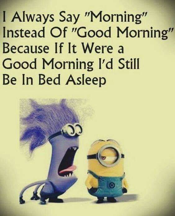 45 Funny Jokes Minions Quotes With funny minion exam quotes on hilarious minion funny life quotes