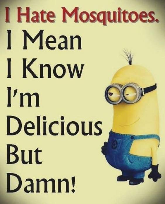 45 Funny Jokes Minions Quotes With funny minion jokes clean cute minion sayings