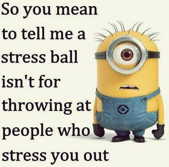 45 Hilariously Funny Minion Pictures With Quotes 16