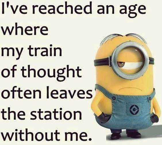 45 Hilariously Funny Minion Pictures With Quotes 29