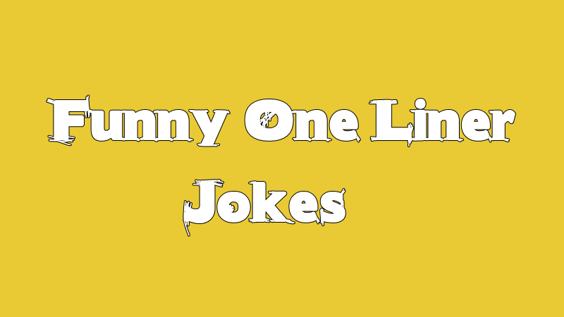 One liner jokes puns