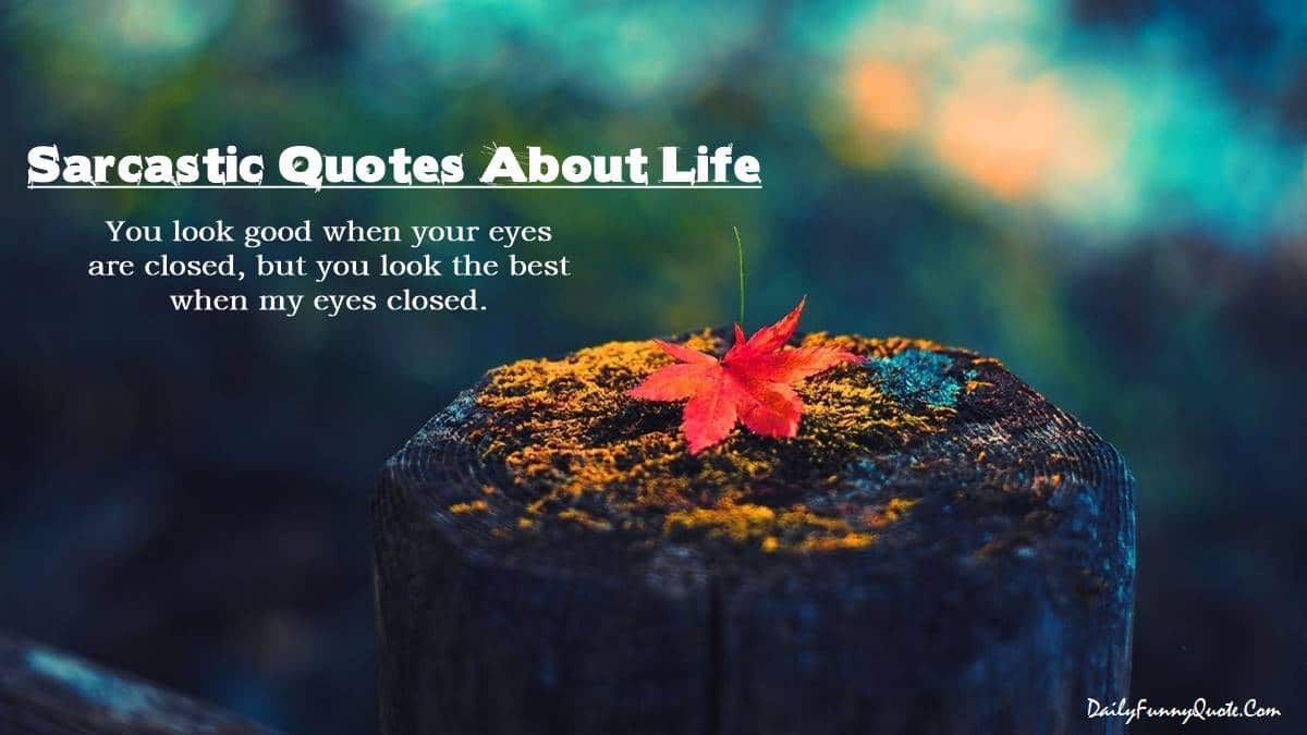 Sarcastic Quotes About Life Lessons