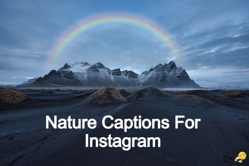 297 Cute Nature Captions For Instagram Best Instagram Captions About