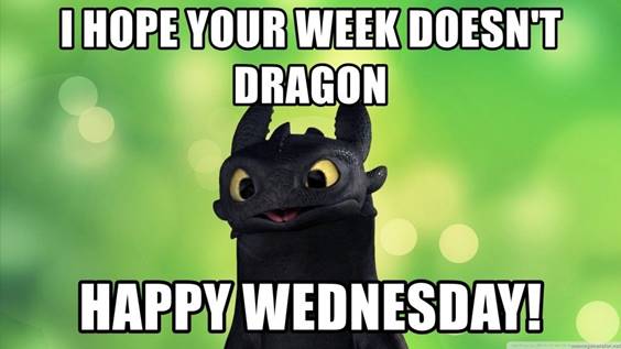 Funny Cat Wednesday Meme