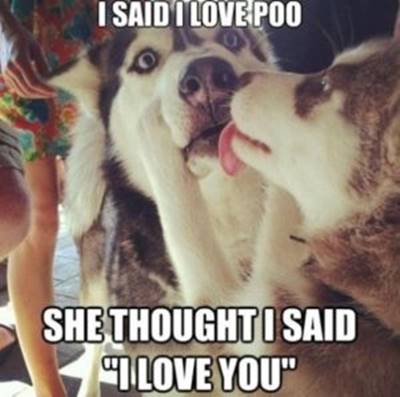 40 Cute Funny Love Memes Images to Your Love Cute Funny Love Memes - “I said I love poo she thought I saiI love you.”