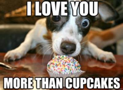 40 Cute Funny Love Memes Images to Your Love Love You Meme Funny - “I love you more than cupcakes.”
