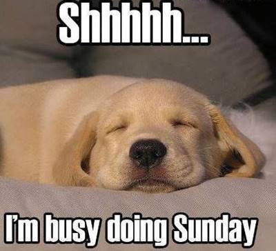 Have a Blessed unday my Friends - Shhh...I'm busy doing Sunday.