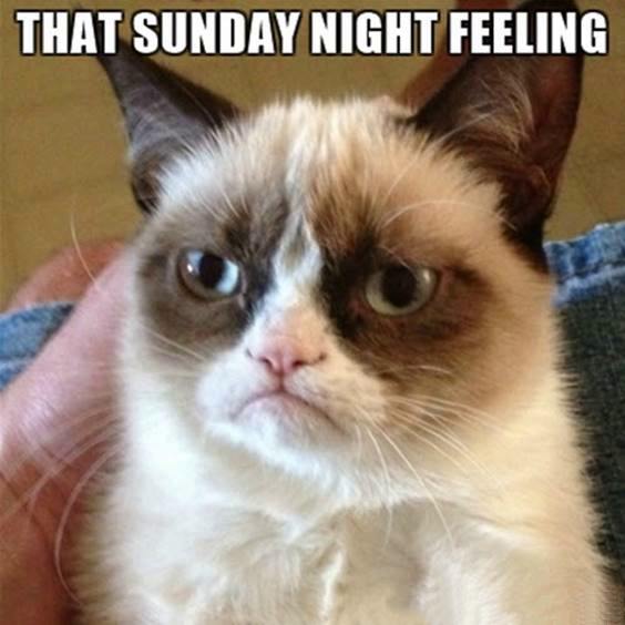 95 Funny Sunday Memes | Happy Sunday Quotes With Images – DailyFunnyQuote