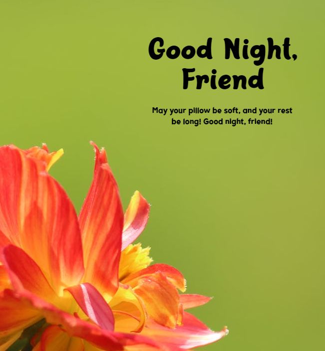 38 Good Night Messages For Friends Text, Quotes With Images –  DailyFunnyQuote