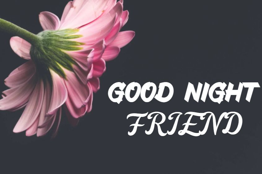 38 Good Night Messages For Friends Text, Quotes With Images