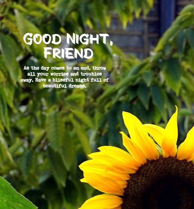inspirational good night wishes for friend