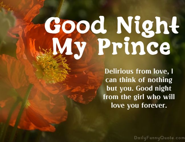 75 Good Night Messages For Boyfriend And Quotes for Good Night –  DailyFunnyQuote