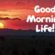 Beautiful Good Morning Life Images And Positive Quotes About Life