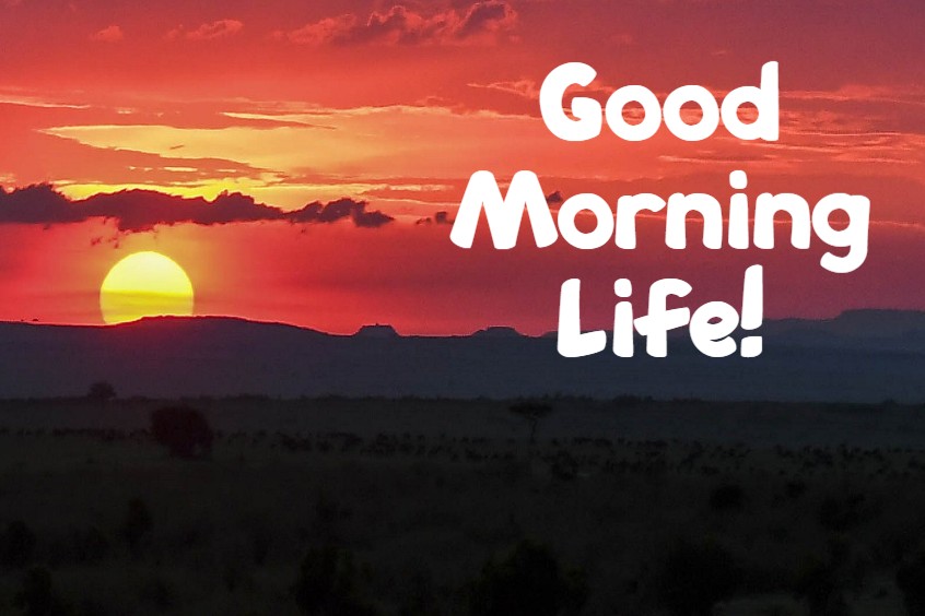 Beautiful Good Morning Life Images And Positive Quotes About Life