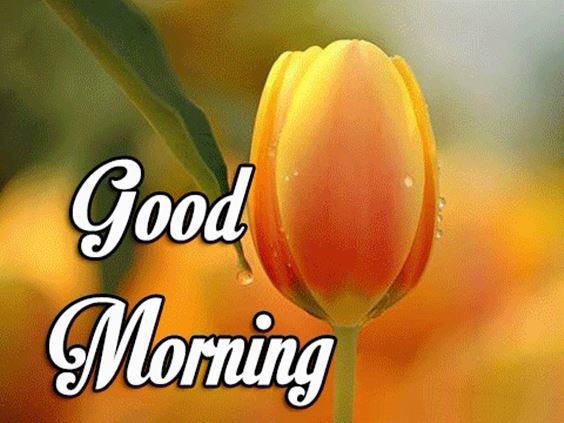 Sweet Good Morning Day Images With Wishes And Quotes About Morningearly morning quotes