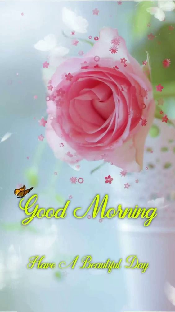 lovely good morning wishes Good Morning Msg With Pictures Quotes Wishes Messages