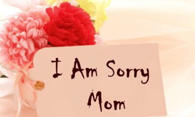 Sorry Mom Apology Text Messages To My Mother
