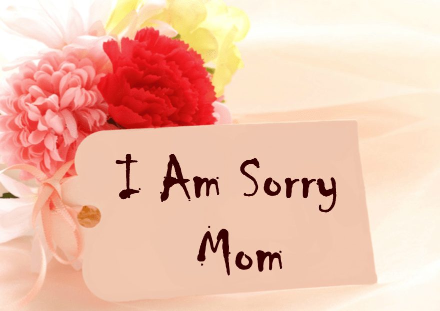 200 Sorry Mom - Apology Text Messages To My Mother – DailyFunnyQuote