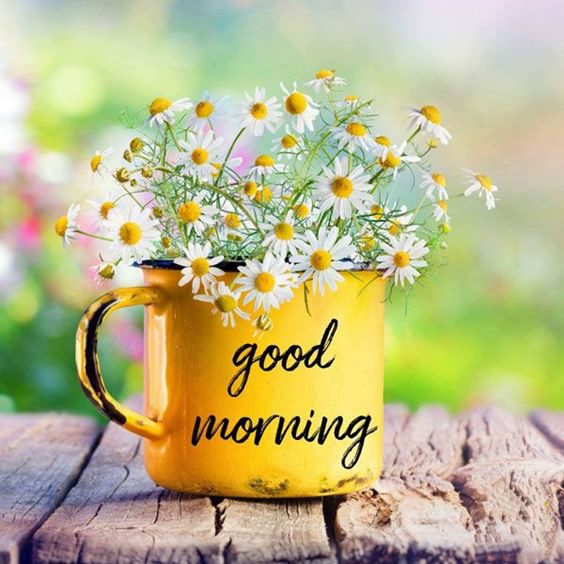 Beautiful Morning Pictures And Text With Good Morning Images good morning to you images