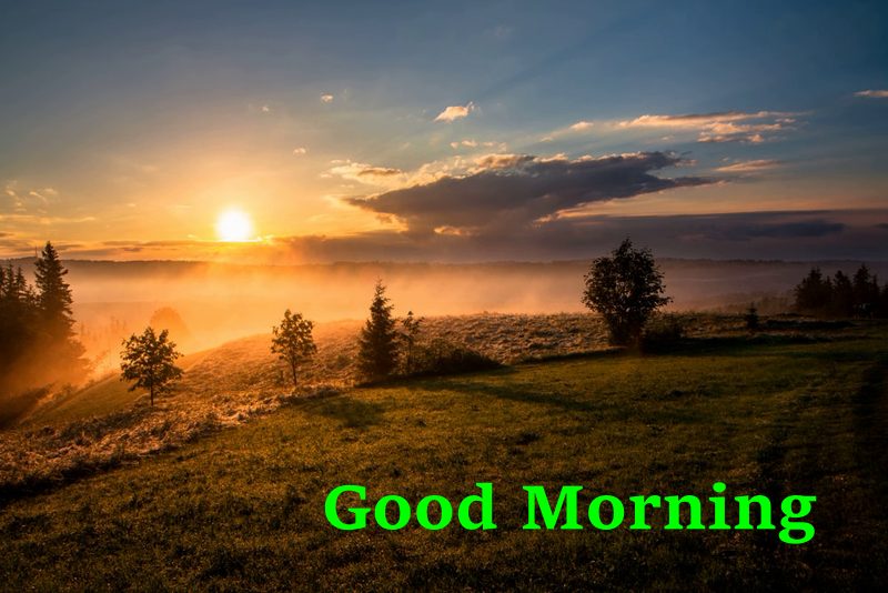 35 Beautiful Morning Pictures And Text With Good Morning Images