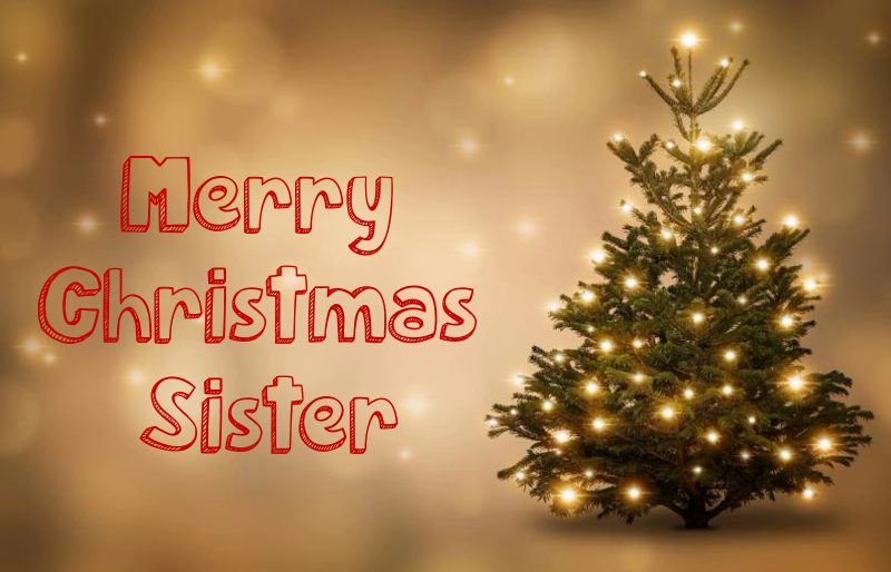 Merry Christmas Sister Quotes With Images and Sayings thank you merry christmas sister