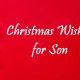 Merry Christmas Wishes For Son What Can I Write In My Sons Christmas Card