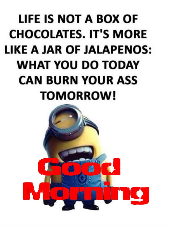 funny good morning quotes for girlfriend funny good morning quotes for girlfriend | good morning gorgeous funny, love funny images, good morning best friend funny