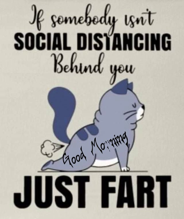 funny good morning quotes to start the day funny good morning quotes to start the day | funny good morning quotes for her, funny good morning message, morning jokes to make her laugh