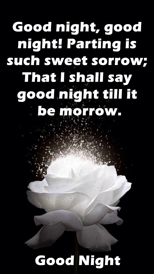 best good night wishes quotes with pictures | Good night blessings quotes, Good night quotes, Good night thoughts