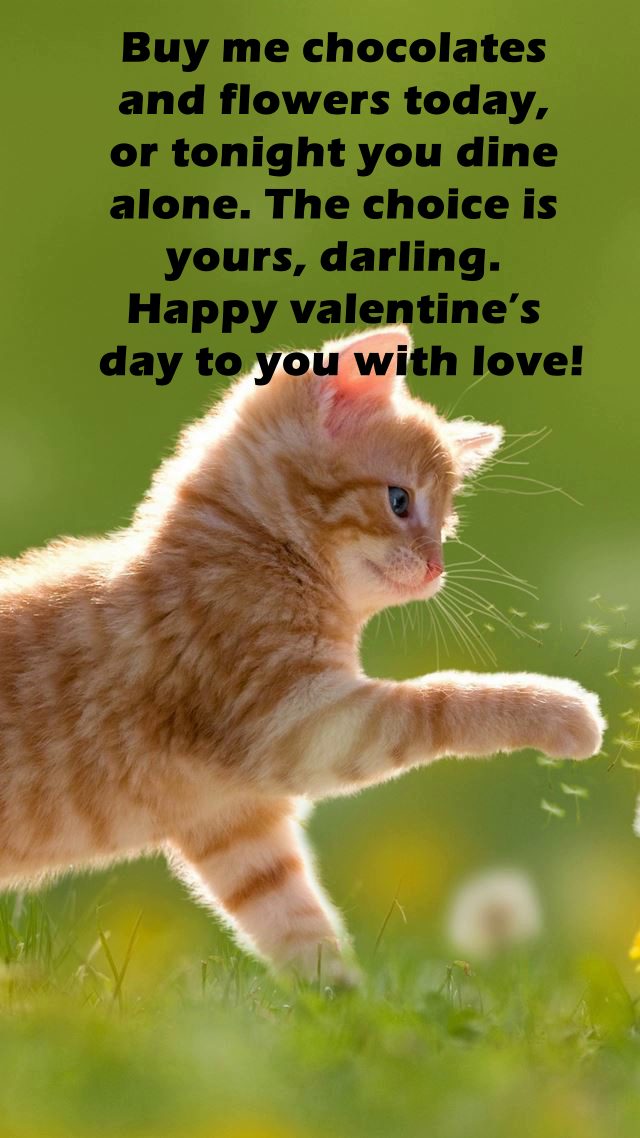 funny valentine messages card sayings | valentine joke messages, happy valentines day friend funny, valentines day quotes funny