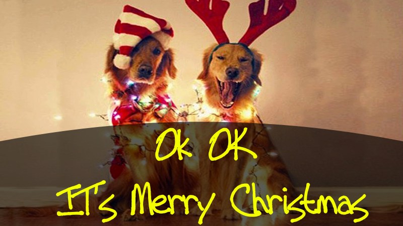 Funniest Merry Christmas Memes with Funny Images