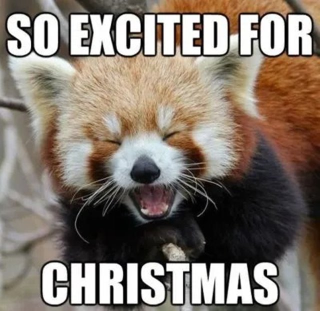 Funny Merry Xmas Memes Funniest Merry Christmas Memes With Funny Xmas Christmas Images