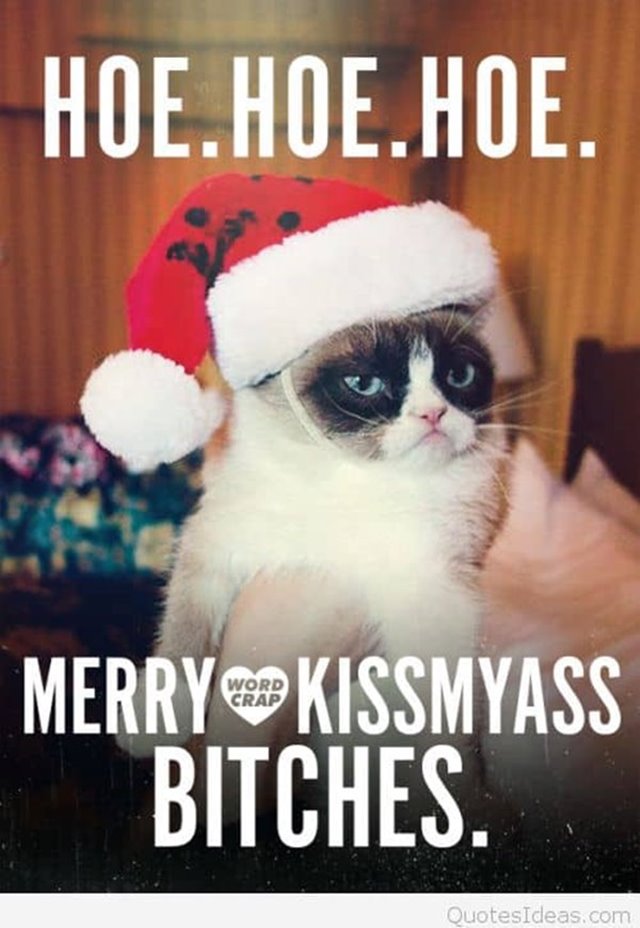 Merry kiss my ass Merry christmas Meme Funniest Merry Christmas Memes With Funny Xmas Christmas Images