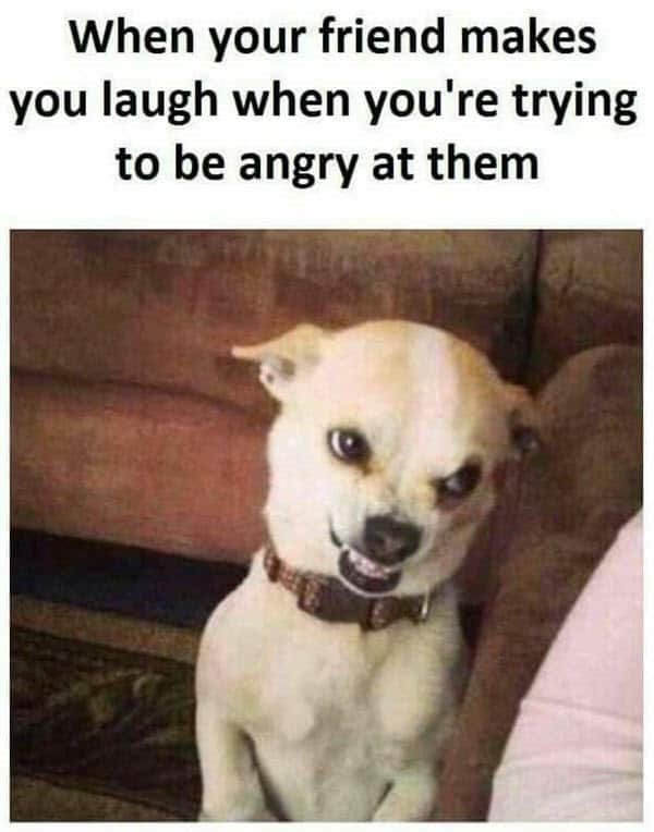 45 Angry Memes That Can Help You Laugh Away Your Anger With Funny Images –  DailyFunnyQuote